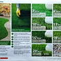 bricomarche 13 maio a 27 junho_20.jpg